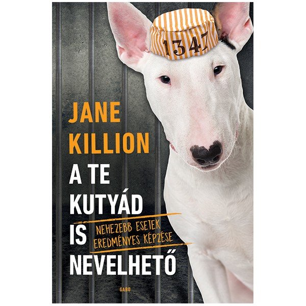 A Te kutyád is nevelhető