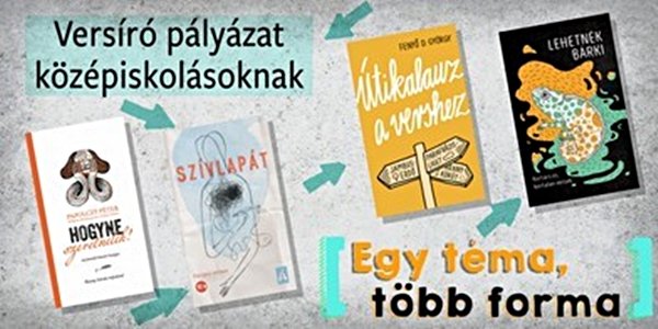 PagonyPályázat4