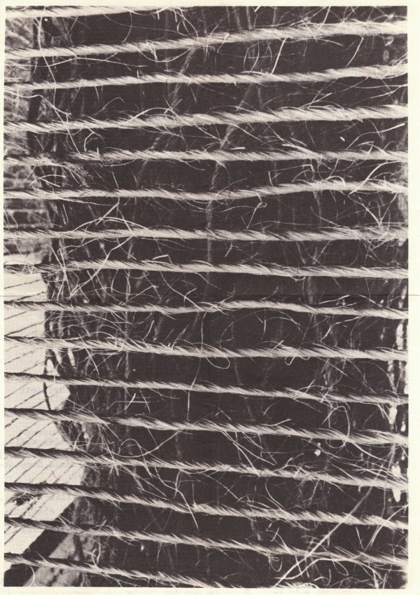 KELECSÉNYI CSILLA: Sonata, 1983, performansz. Fészek Galéria Színházterem. Brosúra