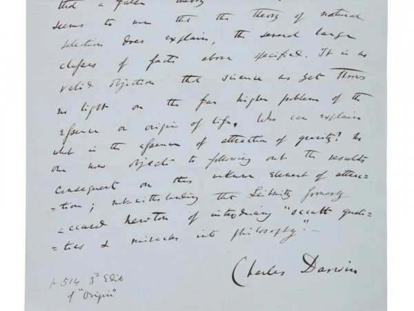A Darvin-kézirat – forrás: Sotheby's