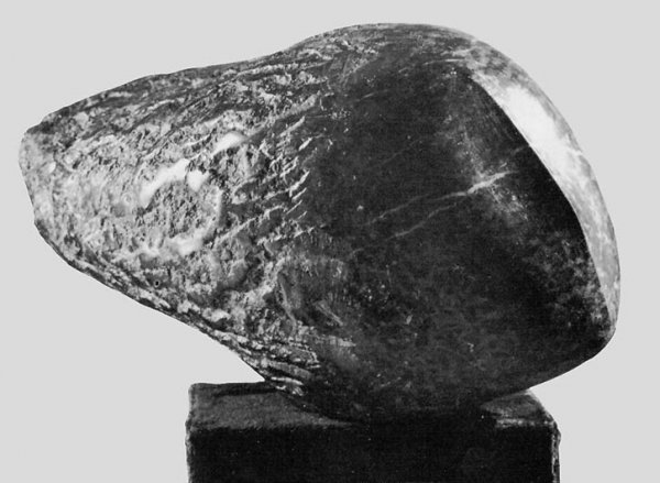 lighea II.
