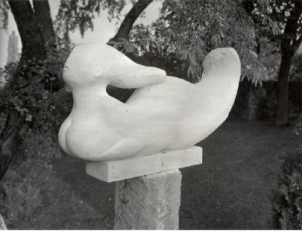 sellő 65