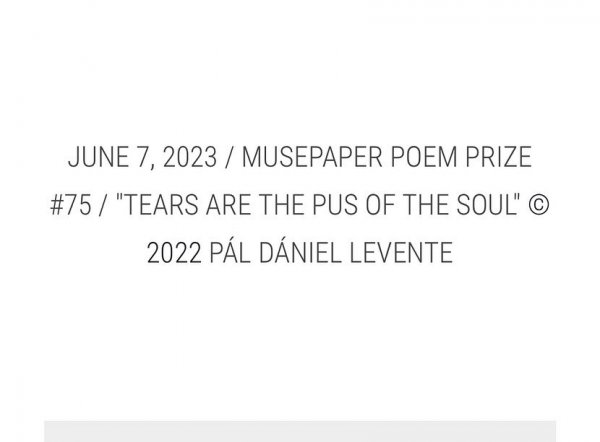 MUSEPAPAER