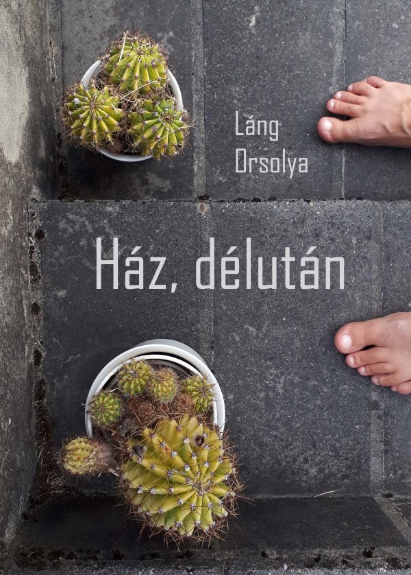 Láng Orsolya: Ház, délután