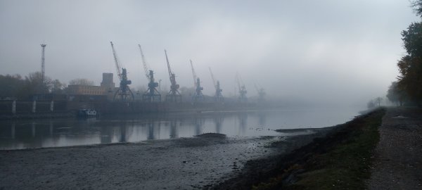 a dunaújvárosi darukórus 2021. novembere  fotó: Nagy Ákos