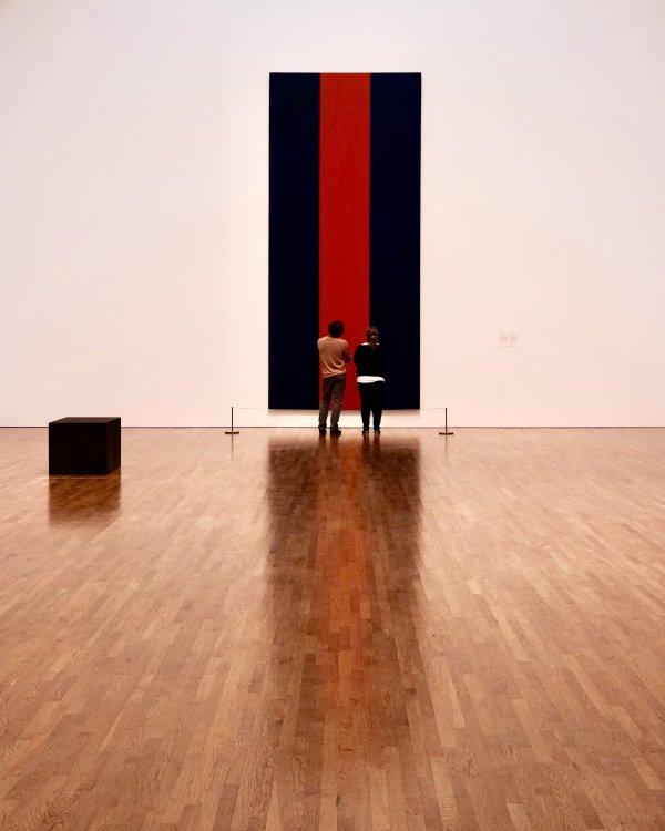 Barnett Newman: Voice of fire