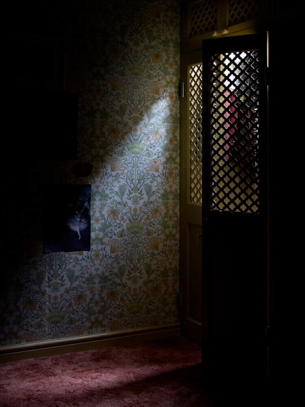 Fotós: Julian Abrams