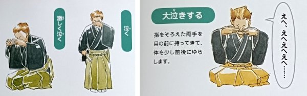 Érzelemkifejezés a nóban és a kjógenben: sírás