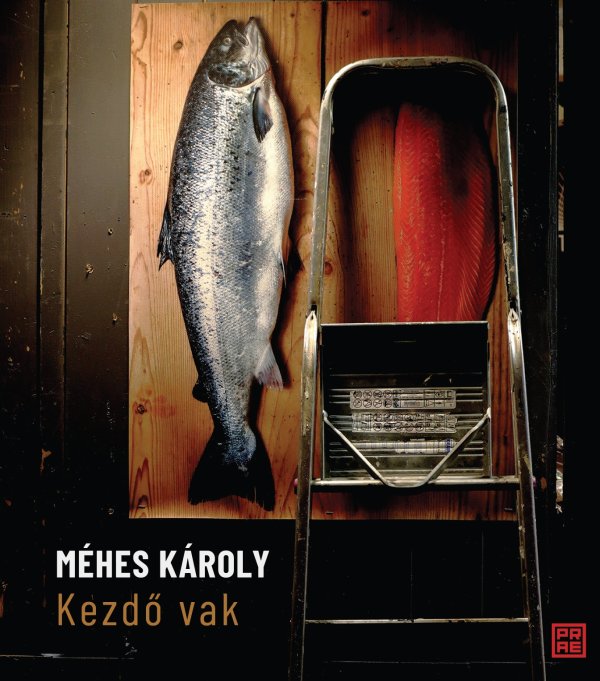 Méhes Károly: Kezdő vak