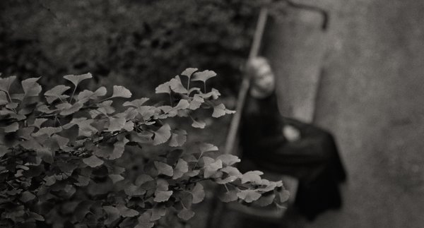 Csendes barát_jelenetfotó