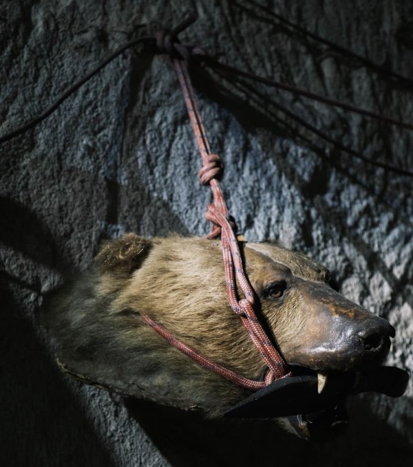 fotó: Cseh Boldizsár