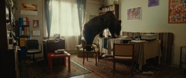Valami vad élő medvéje - jelenetfotó