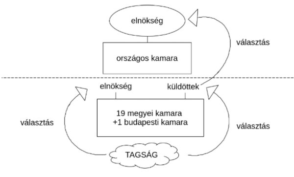 ábra a két szintű kamarai rendszerről