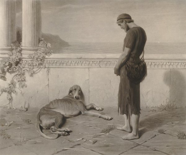 Argus