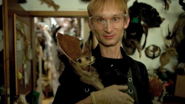 Taxidermia/MUBI