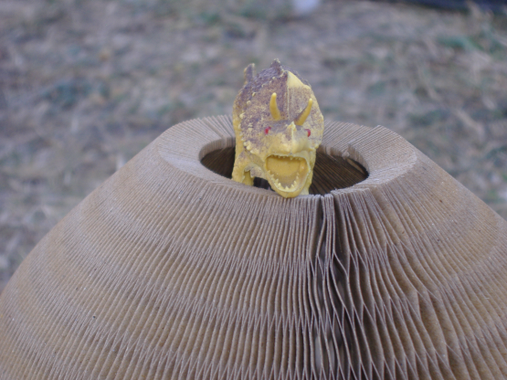 a tyrannosaurus lelet
