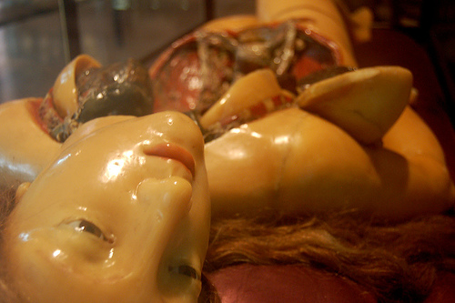 Wax model - Forrás: flickr.com