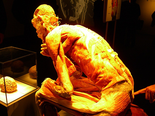 Bodies (forrás: flickr.com)