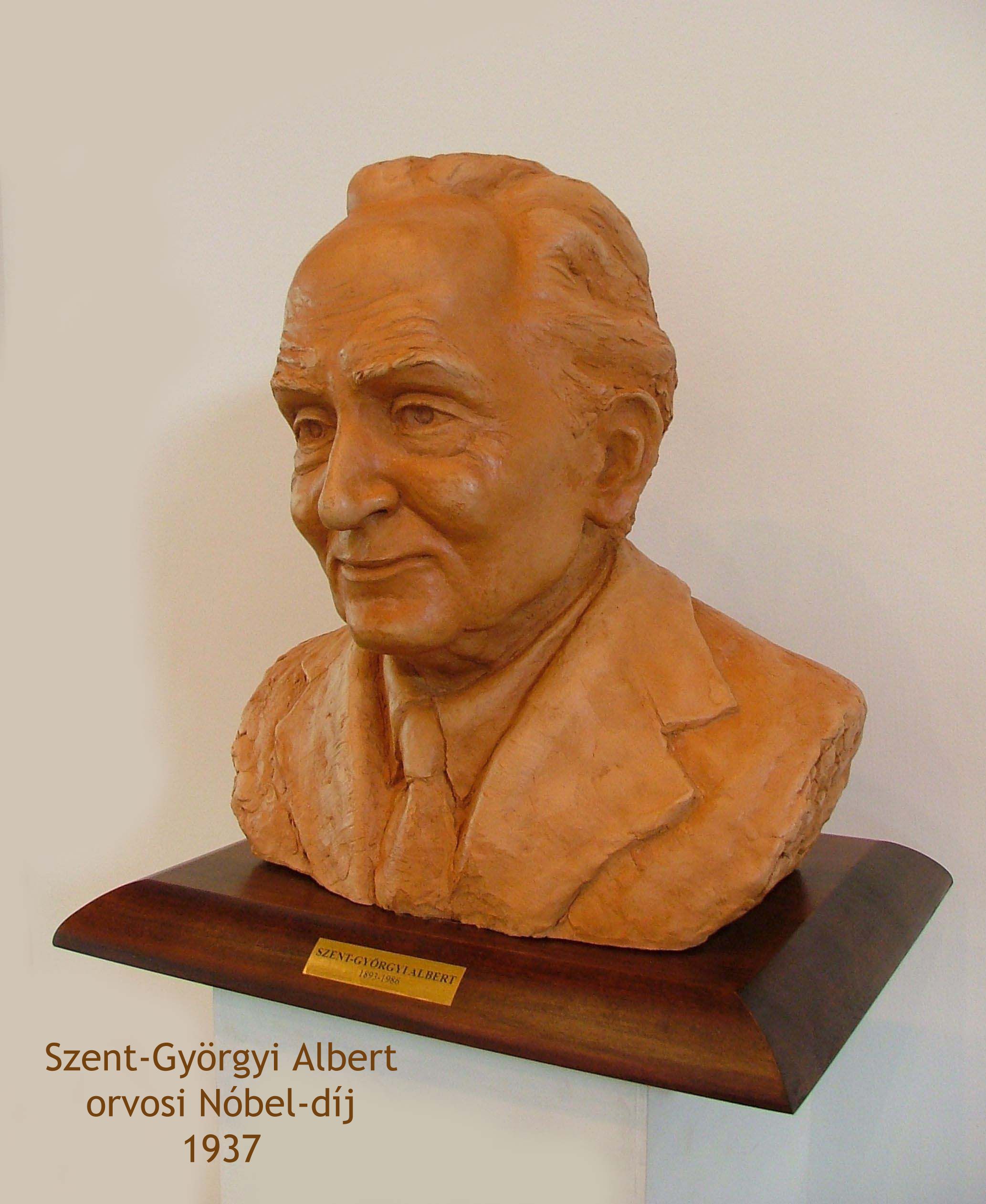Szent-Györgyi Albert