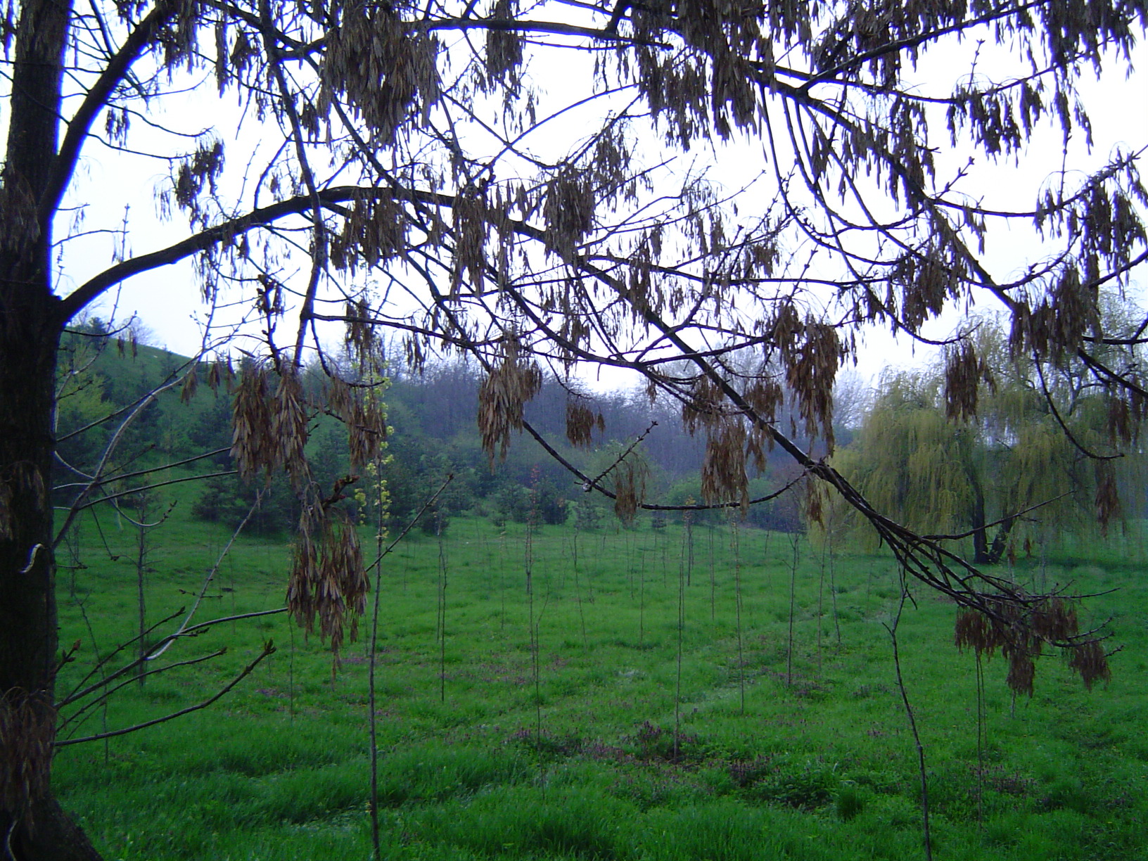 Dunaujvaros, Hungary