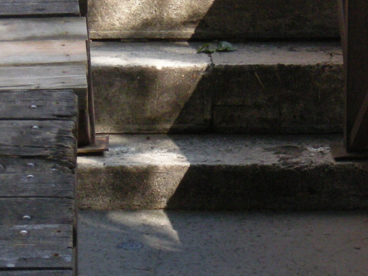 A titok I. Szeged, 2008