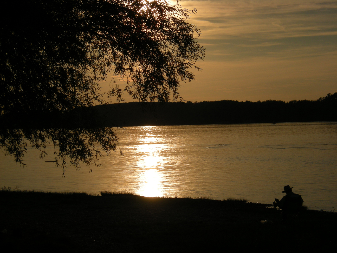 Neszmély, 2008