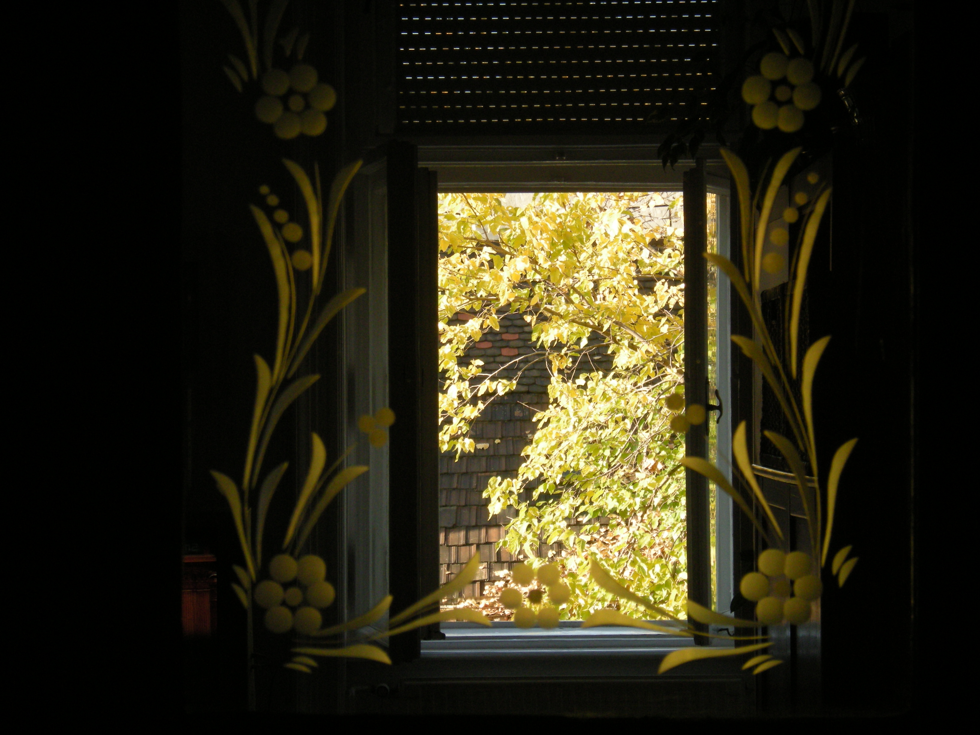 Ősz a szobámban, 2008