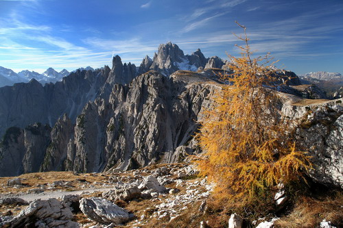 Fall