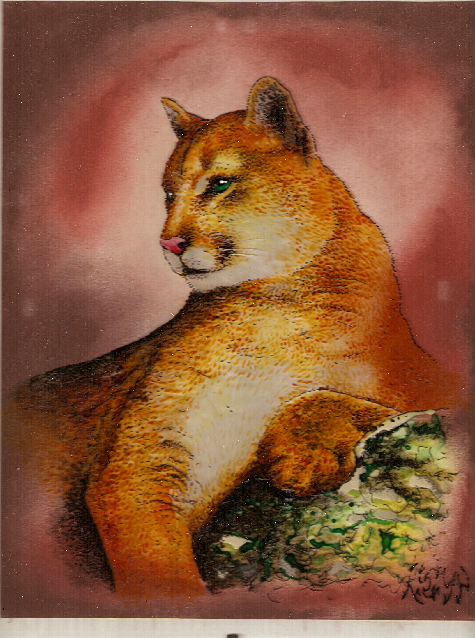 Puma