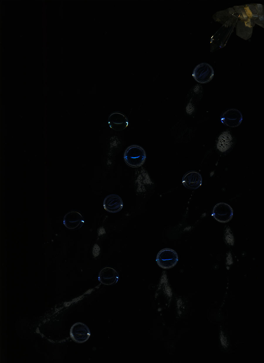 Genero (6.) (2009). Szkenner-art print, ferrari ponyva, 100x70 cm.