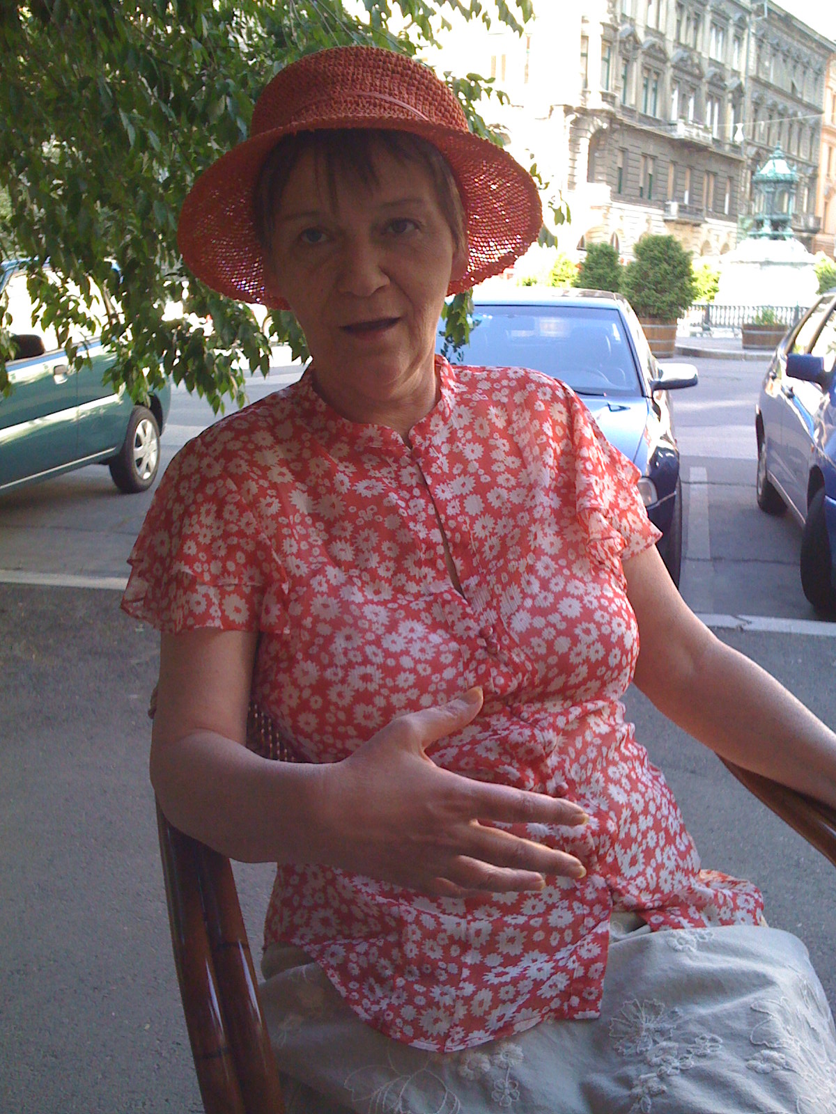 Anikónak magyarázok