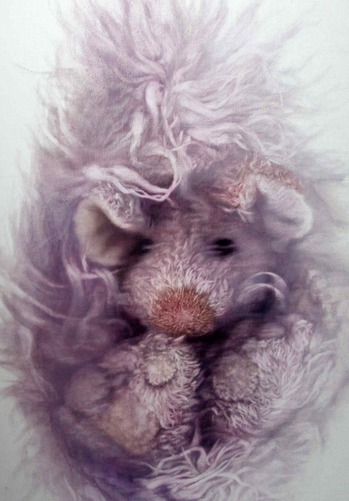 98. plüss projekt (olaj,vászon 40×60)