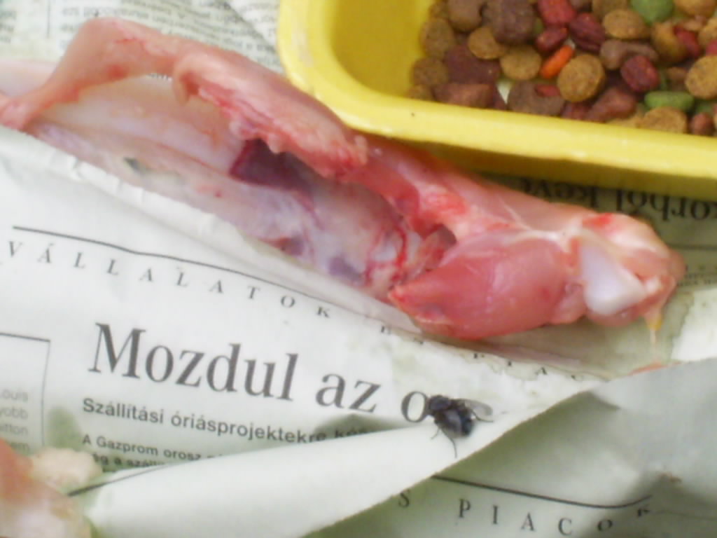 mozdul az