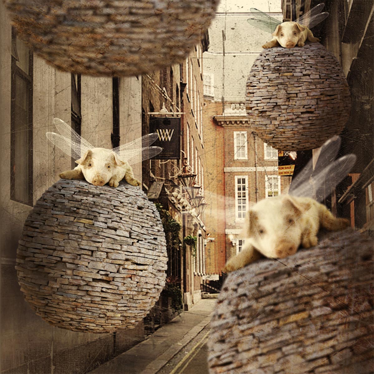 The Forgotten Flying Pig Invasion