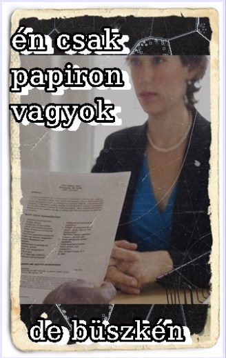 kikicsi CV
