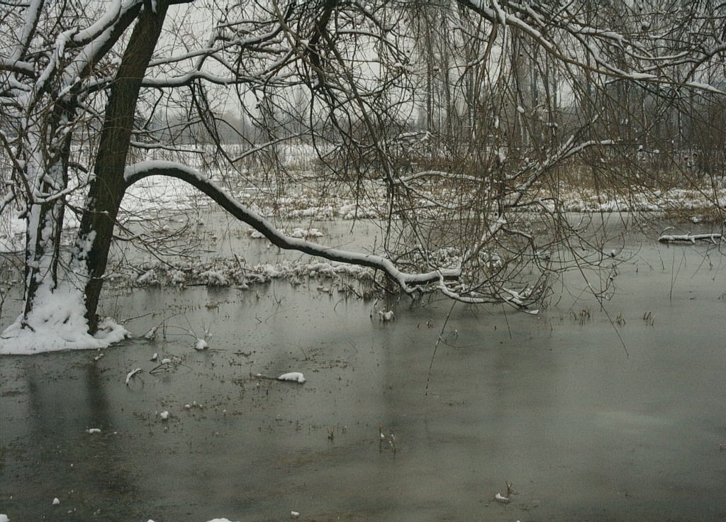 Tél
