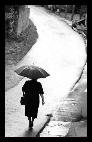 after the rain